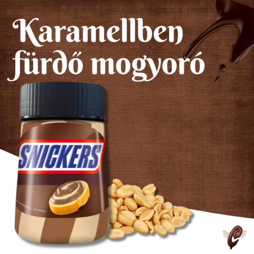Snickers krém 350g